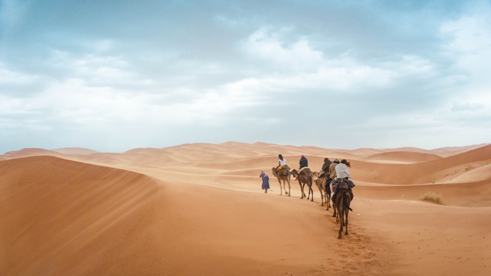 A camel caravan crossing the Sahara dunes at dusk