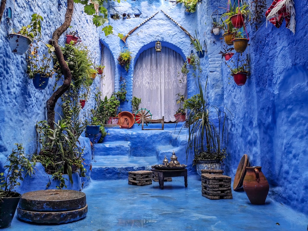 A blue-washed courtyard with potted plants in Chefchaouen