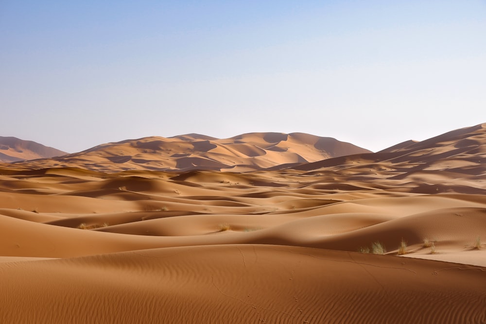 The orange dunes of Erg Chebbi in the Sahara